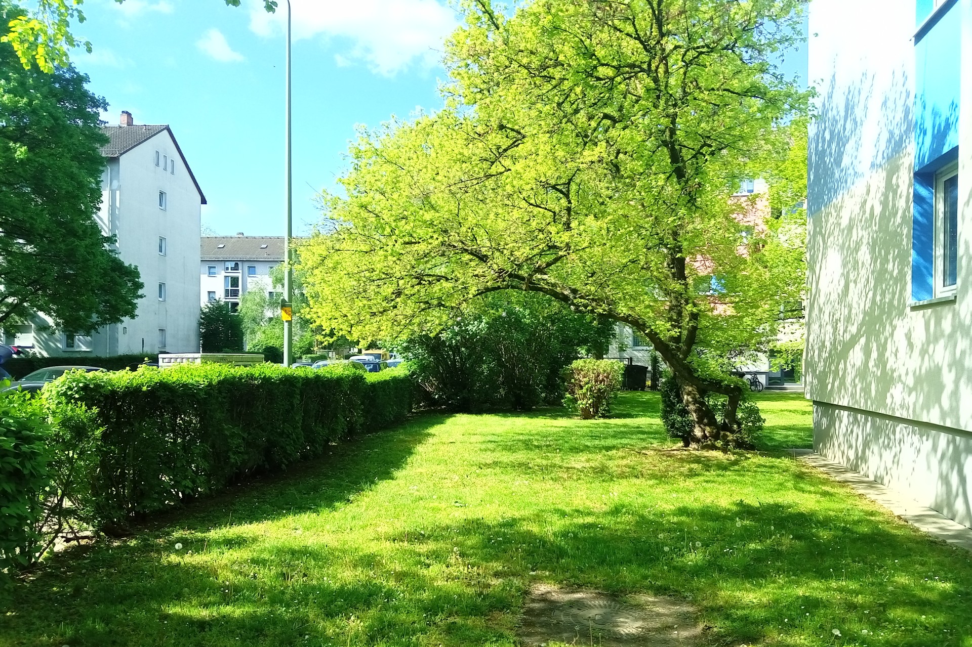 Frankfurt am Main, Unterliederbach, Sieringstraße