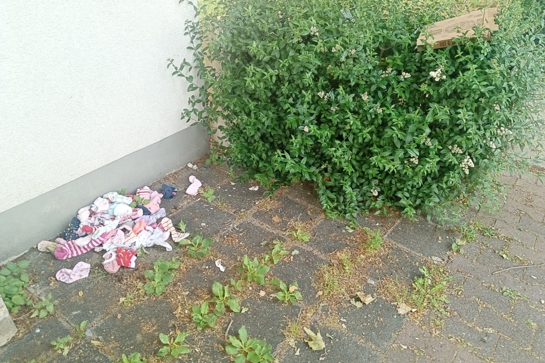 Frankfurt am Main, Unterliederbach, Sieringstraße