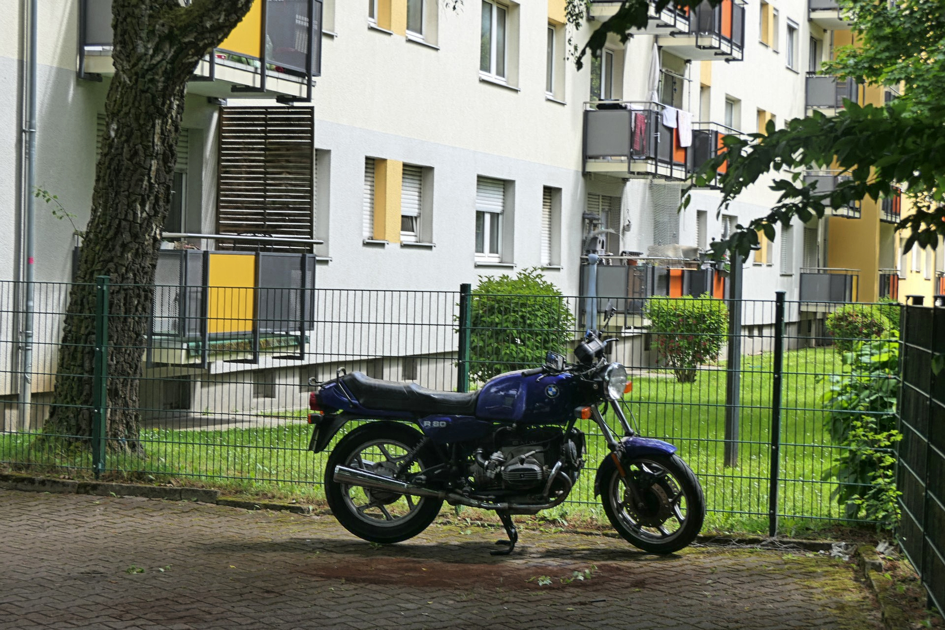 Frankfurt am Main, Unterliederbach, Gummikuh