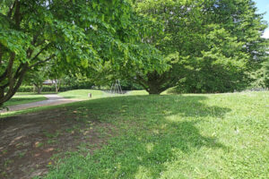 Frankfurt am Main, Unterliederbach, Emil-Siering-Park
