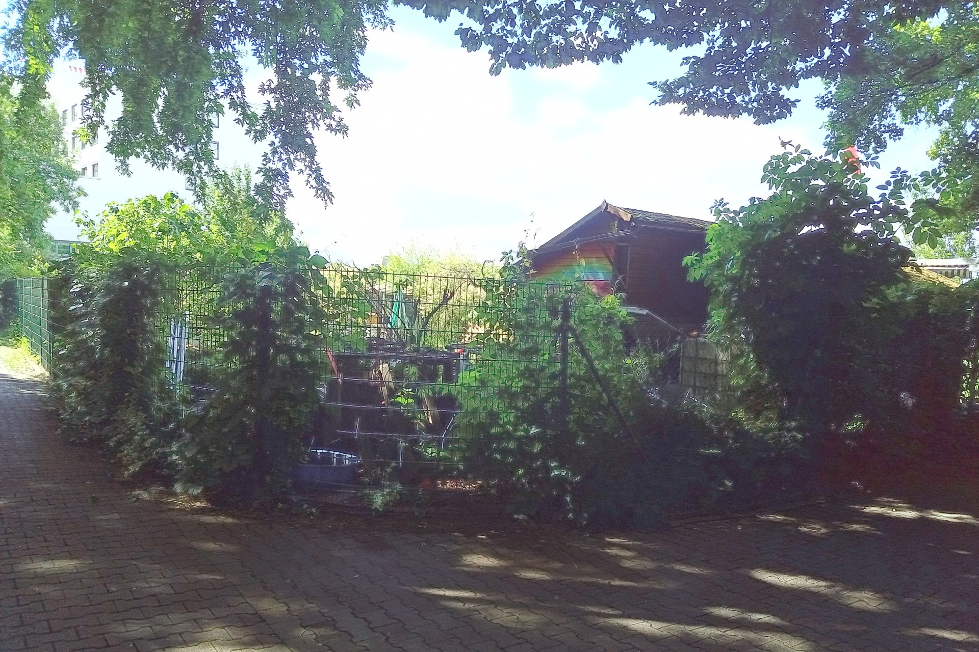 Frankfurt am Main, Unterliederbach, Grenzweg, KGV, Anlage 1