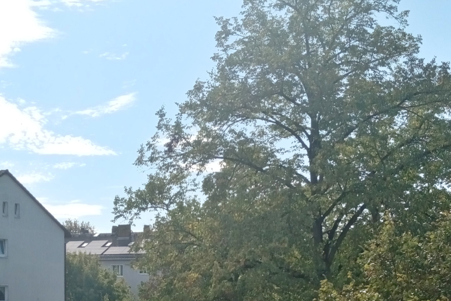 Frankfurt am Main, Unterliederbach, Sieringstraße